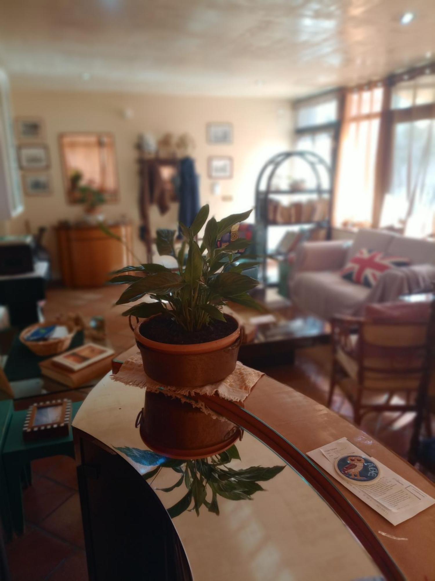 Casa Di Luca Bed & Breakfast Agrigento Dış mekan fotoğraf
